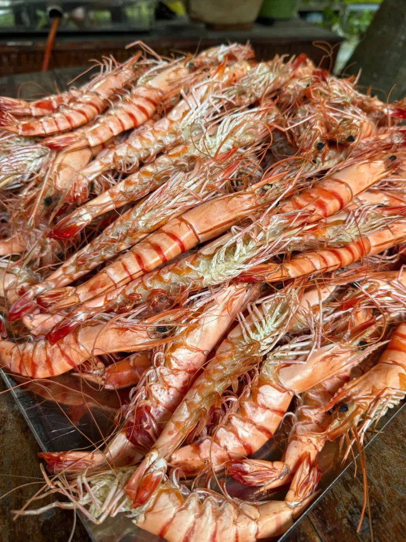 Khay tôm sú trong máy sấy