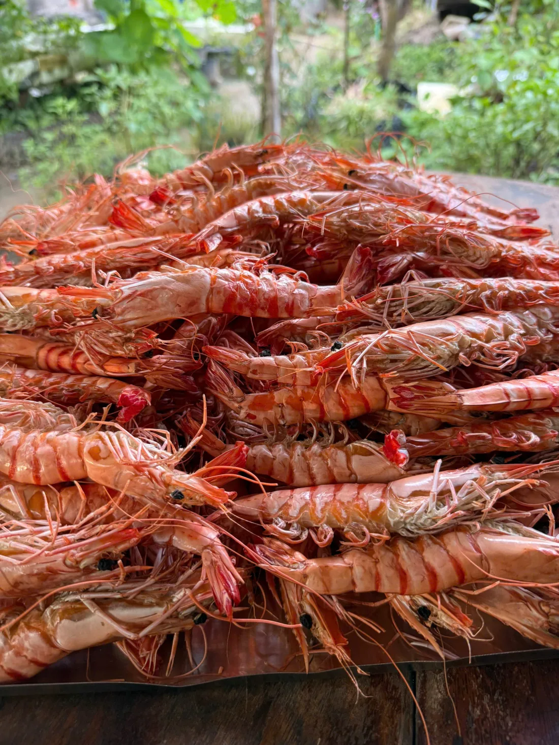 Mẹt tôm sú quảng canh sấy dẻo nguyên con của Cô Ba Miền Tây